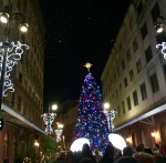 Christmas Tree on Fulton Street New Orleans.